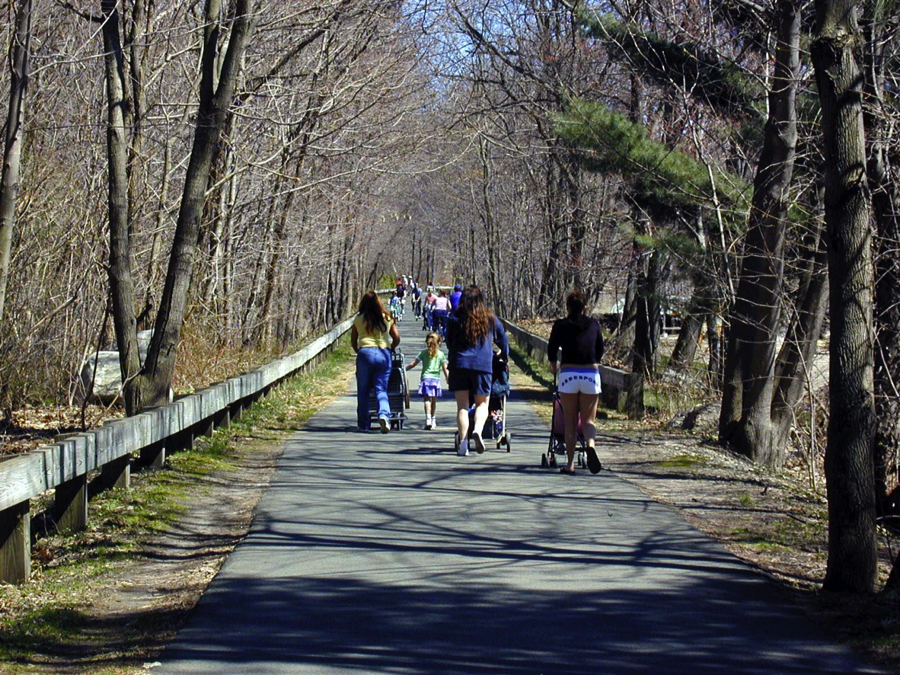 Photo of a bike path