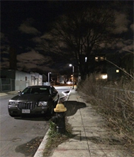 Figure 6-4, Overgrown Vegetation between Browning Avenue and Kingsdale Street: Figure 6-4 presents a picture taken by MPO staff of overgrown vegetation narrowing the pedestrian zone along the sidewalk on Wales Street between Browning Avenue and Kingsdale Street.