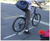 1.	Bicycle detector pavement marking (photograph)